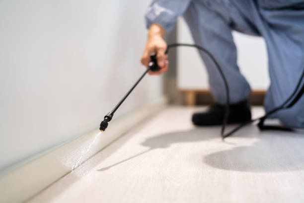 Licensed Termite Control service in Athens, PA - Nex Pest Control