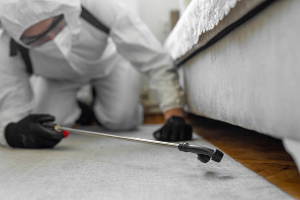 Professional Termite Control technician working in Athens, PA
