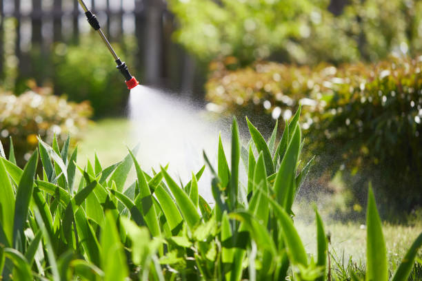 24/7 Emergency Termite Control experts in Athens, PA