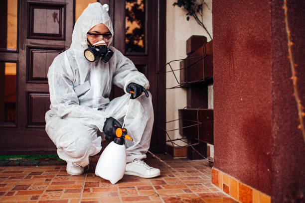 Reliable Termite Control contractor in Athens, PA by Nex Pest Control