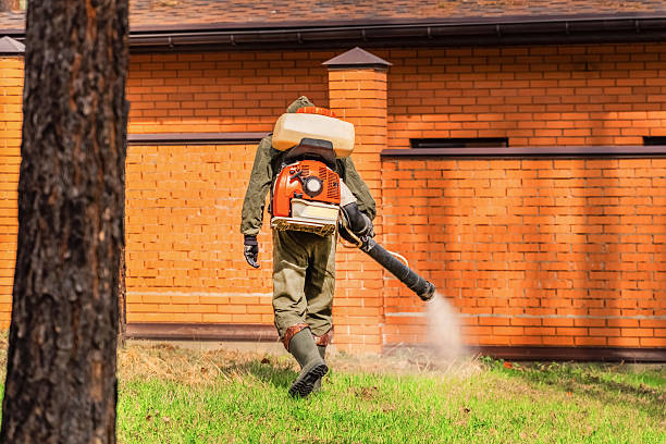 Top rated local Termite Control specialists in Athens, PA